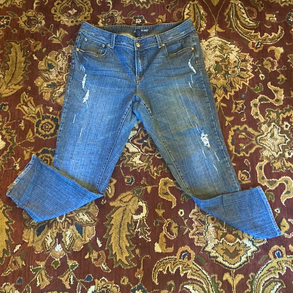 Lane Bryant Ripped Jeggings